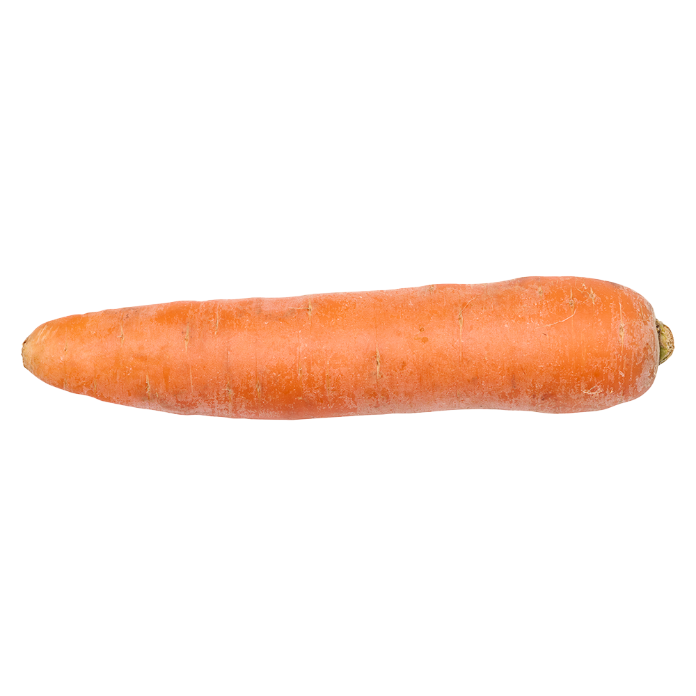 Zanahoria fresca Global Fresh Produce