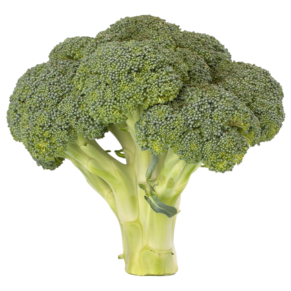 Brócoli premium Global Fresh Produce