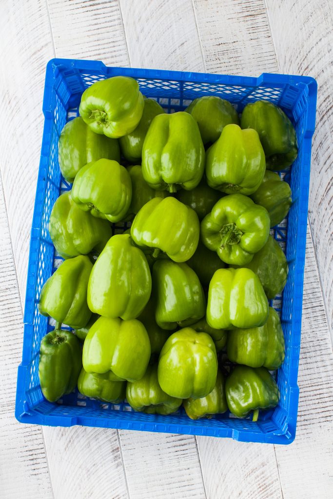 Pimiento fresco para exportación Papi's Peppers