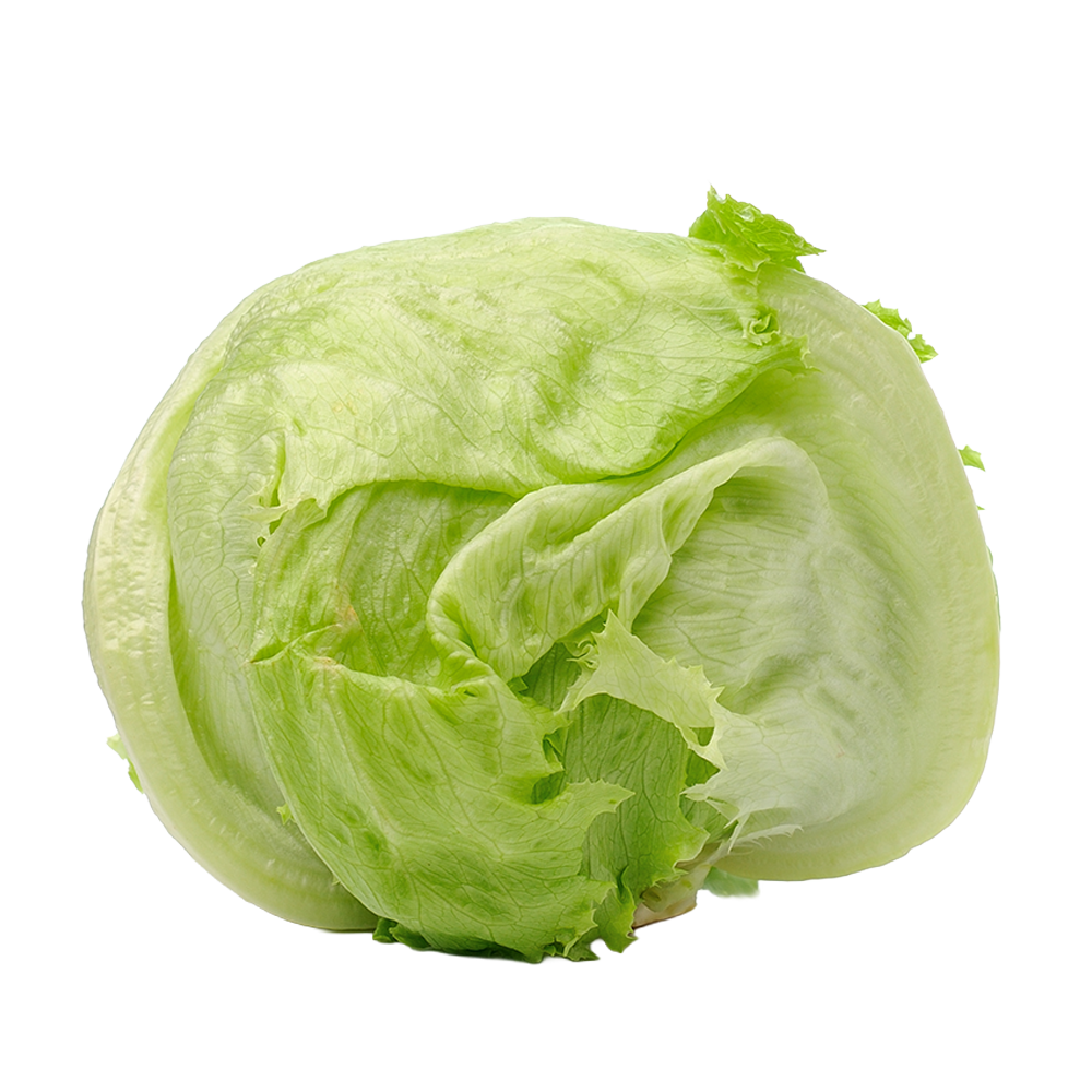 Lechuga iceberg Global Fresh Produce